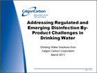 Addressing Regulated and Emerging Disinfection By-Product Challenges in Drinking Water course cover